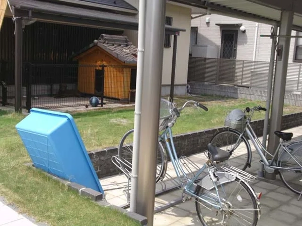 Before