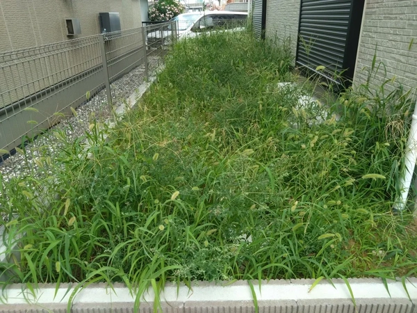 グリーンフォエバーの人工芝施工事例Before