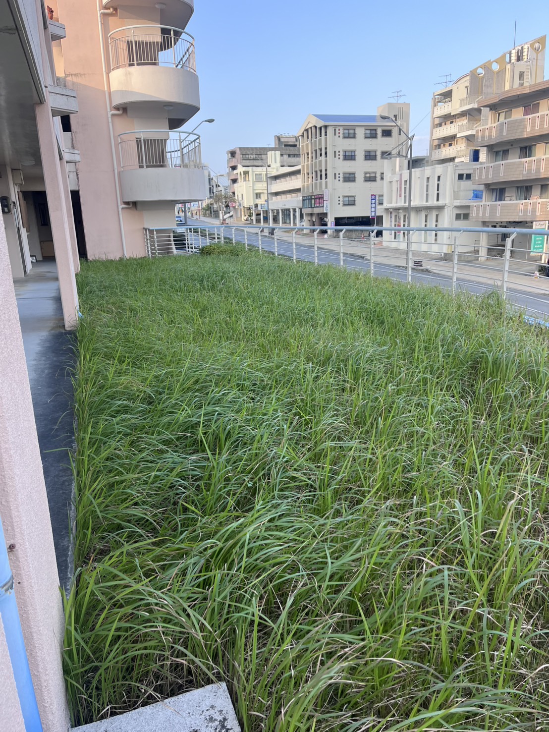 ワイズプロジェクトの人工芝施工事例Before